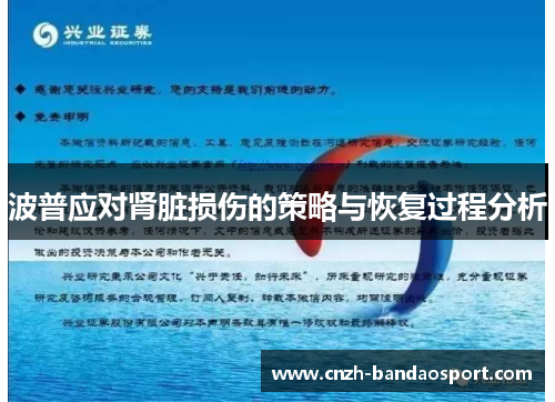 波普应对肾脏损伤的策略与恢复过程分析