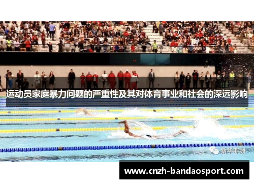 运动员家庭暴力问题的严重性及其对体育事业和社会的深远影响