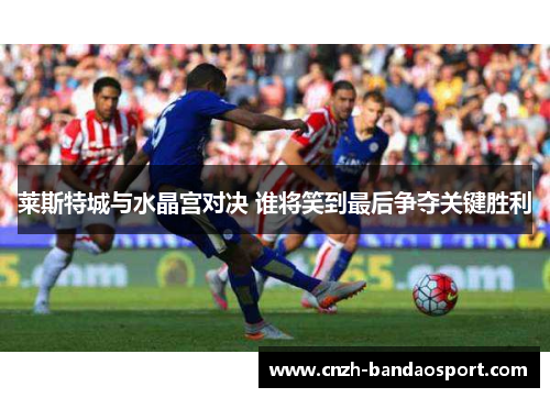 莱斯特城与水晶宫对决 谁将笑到最后争夺关键胜利