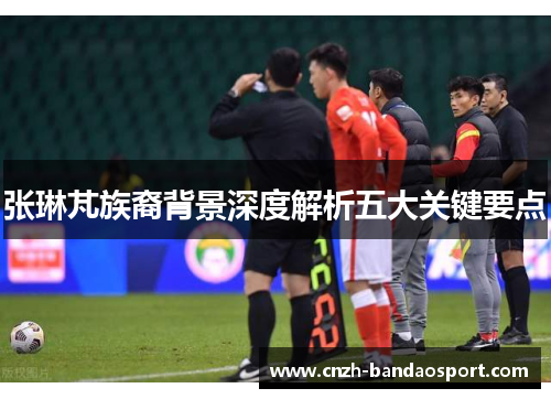 张琳芃族裔背景深度解析五大关键要点