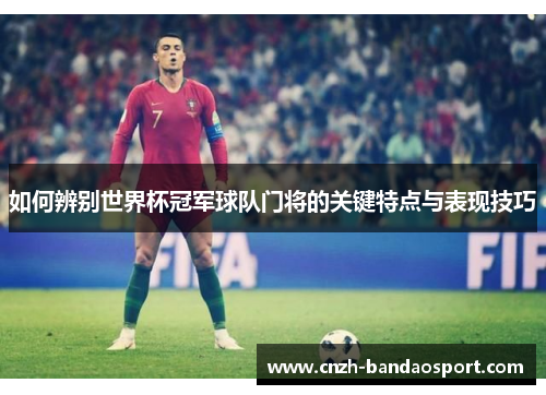 如何辨别世界杯冠军球队门将的关键特点与表现技巧