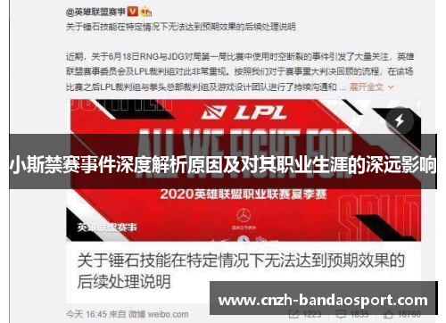 小斯禁赛事件深度解析原因及对其职业生涯的深远影响
