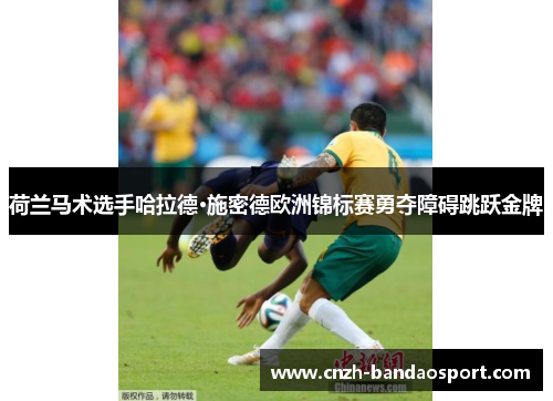 荷兰马术选手哈拉德·施密德欧洲锦标赛勇夺障碍跳跃金牌