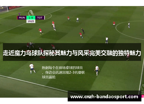 走近魔力鸟球队探秘其魅力与风采完美交融的独特魅力 走近魔力鸟球队探秘其魅力与风采完美交融的独特魅力