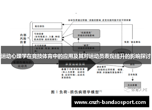 运动心理学在竞技体育中的应用及其对运动员表现提升的影响探讨